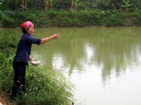 REEP góp phần cải thiện sinh kế cho người dân nông thôn