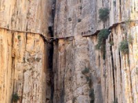 can canh khu cho ngay canh duong sat nguy hiem nhat the gioi