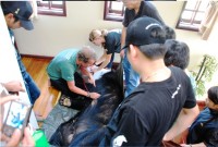 gau bac cuc nan nhan truc tiep cua bien doi khi hau