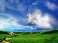 nhung hien tuong thoi tiet ky thu hiem gap