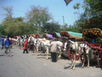 an do dua ra bao cao tam nhin bao ve den taj mahal noi tieng
