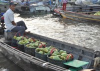 Đi chợ Nổi miền Tây