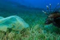 buc thu cua mot nan nhan tau titanic duoc ban voi gia ky luc