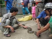 thai lan tran khung dai gan 4m nap trong may giat