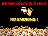 de xuat tang cuong cac bien phap phong chong tac hai cua thuoc la