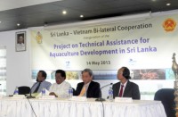 chuyen the vang va dong luc phat trien ben vung