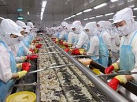 my gia han ap thue chong ban pha gia voi tom dong lanh viet nam