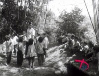 8 hon dao thien duong dep quen loi ve o viet nam