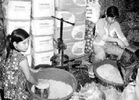 sung sot voi nhung rau cu sieu to khong lo