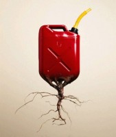 indonesia nghien cuu phat trien dau may xe lua xanh