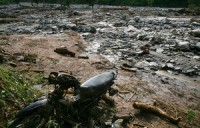 gieng nuoc ky la khien van vat hoa da