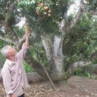 tin nhap 20160923221431