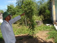 dat nuoc tron niem vui he lo nhieu tai lieu mat thoi chien