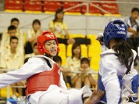 10 nuoc chau au se tham gia giai vo dich viet vo dao tai thuy si