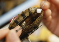 di an hau khach may man can luon duoc vien ngoc hiem