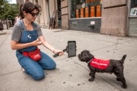 tinh ban tuyet voi giua chu cho chan cuu duc va chu huou bi bo roi