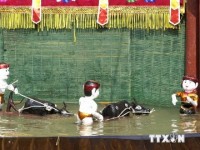 nghe thuat mua roi chinh phuc nguoi viet nam tai lien bang nga