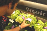 Giá trị thực của thực phẩm hữu cơ