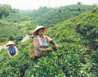 cuoc song muon mau o morocco