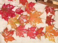 10 diem den hot nhat mua thu theo national geographic traveler