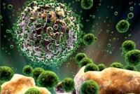 my phat hien chung virus hiv moi