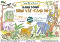 my mot so thanh pho lon cam ban long thu de bao ve dong vat