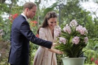 peru phat hien loai phong lan moi tai cong vien quoc gia thuoc amazon