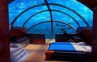 khu rung thoi co dai 10000 nam tuoi chim duoi day bien