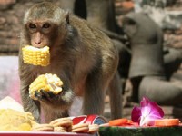 trung quoc nhan ban vo tinh khi thanh cong