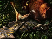 argentina phat hien hoa thach xuong loai khung long moi