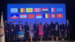 Việt Nam đưa Tôi thấy hoa vàng trên cỏ xanh tham gia Tuần lễ phim Pháp ngữ tại Chile