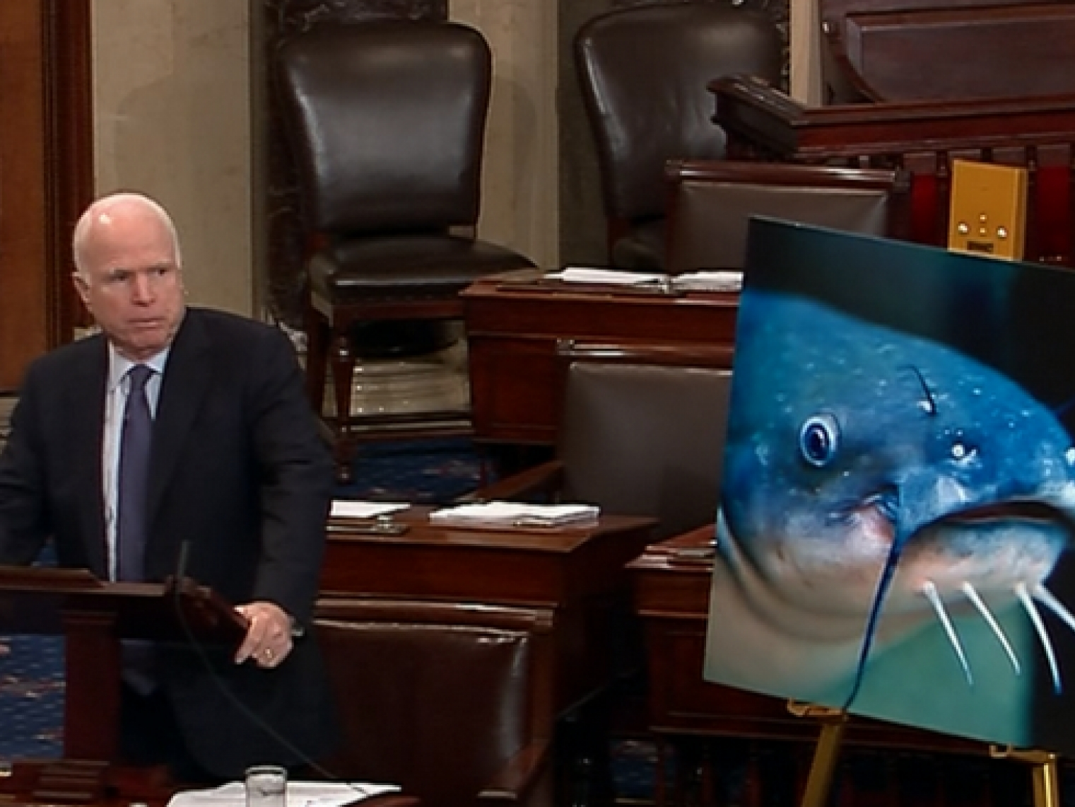 Mỹ: Kết thúc cuộc chiến cá da trơn