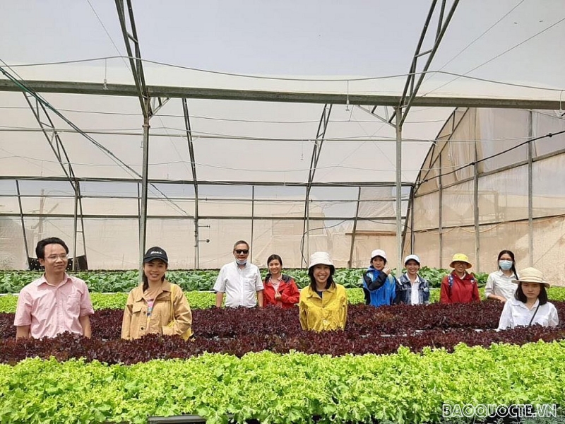 Người Việt tại Israel phát huy đoàn kết, bản lĩnh kiên cường giữa 'chảo lửa' Trung Đông