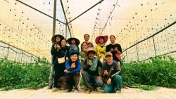 Đại sứ quán Việt Nam tại Israel khuyến nghị cộng đồng theo dõi hướng dẫn mới về phòng vệ dân sự