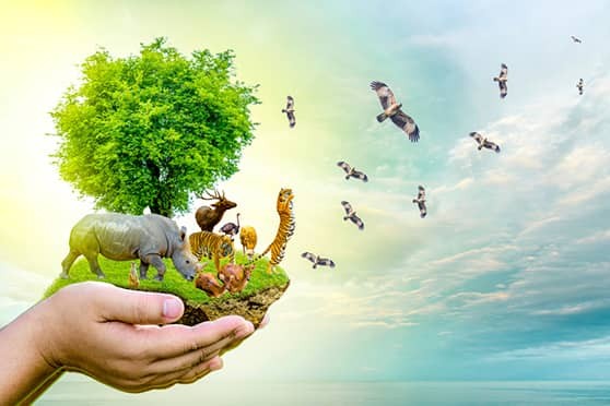 50 năm ngoại giao môi trường của Liên hợp quốc: Nhìn lại và hướng về phía trước 50 năm ngoại giao môi trường của Liên hợp quốc: Nhìn lại và hướng về phía trước