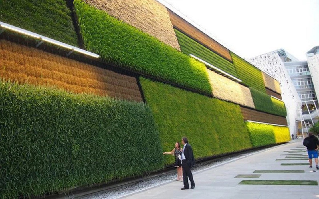 Đại sứ Israel háo hức đón Tết Quý Mão và mong chờ dịp kỷ niệm 30 năm quan hệ ngoại giao giữa hai nước