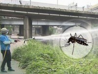 5 cach phong ngua dai thao duong