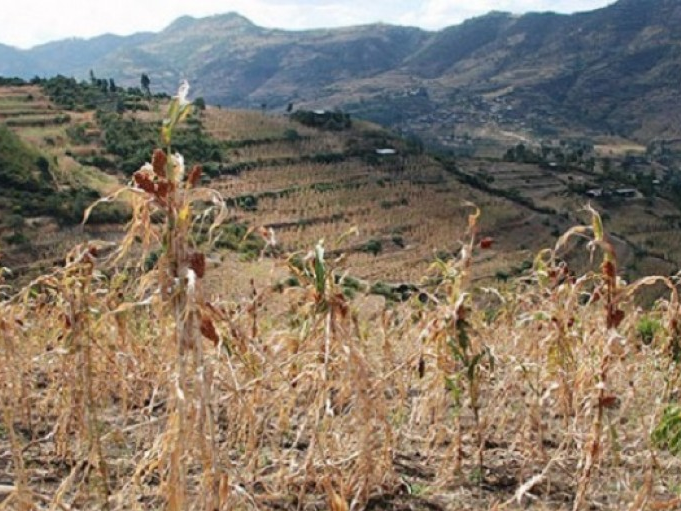 Hiện tượng El Nino sắp chấm dứt tại Caribbean