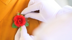 Nghi lễ 'Bông hồng cài áo' trong lễ Vu Lan có nguồn gốc và ý nghĩa như thế nào?