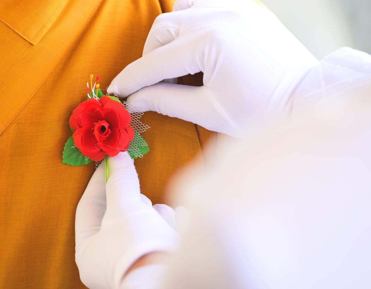 Nghi lễ 'Bông hồng cài áo' trong lễ Vu Lan có ý nghĩa gì?