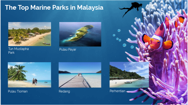 Giải pháp một mũi tên trúng hai đích cho biến đổi khí hậu ở Đông Nam Á