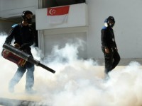 phu nu mang thai nen an gi de tranh nguy co tien san giat