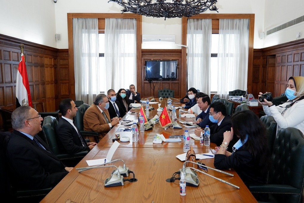 Hàng Việt Nam chất lượng cao đang ‘chinh phục’ người tiêu dùng Ai Cập