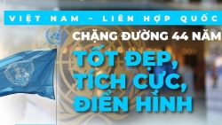 Việt Nam-Liên hợp quốc: Chặng đường 44 năm tốt đẹp, tích cực, điển hình