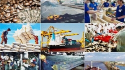 Lãnh sự danh dự ‘hiến kế’ Việt Nam thu hút đầu tư