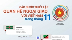 Những nước nào thiết lập quan hệ ngoại giao với Việt Nam trong tháng 11?