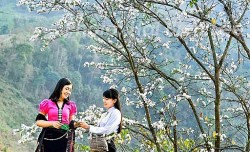 Điện Biên - Mảnh đất bốn mùa du lịch