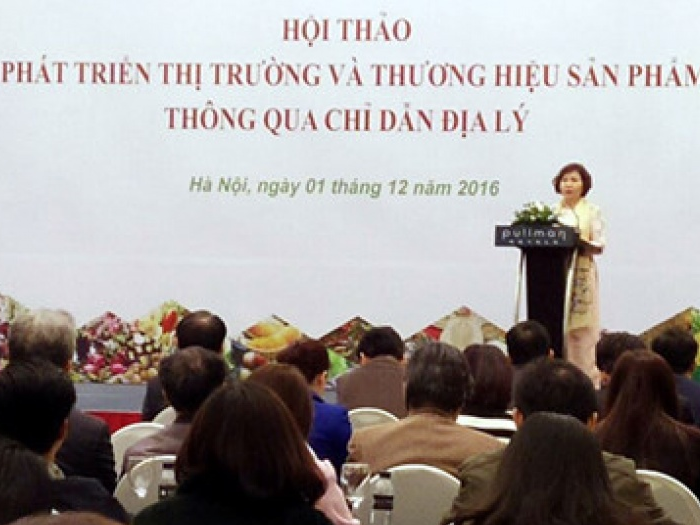 Mô hình chỉ dẫn địa lý - đứng riêng lẻ sẽ khó trụ vững