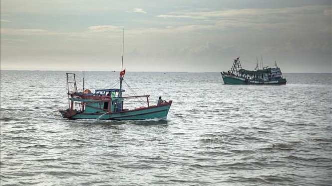 Việt Nam tích cực tham gia chống khai thác IUU