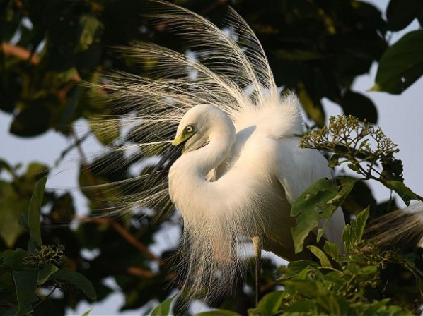 Những điểm đến hấp dẫn nhất châu Á